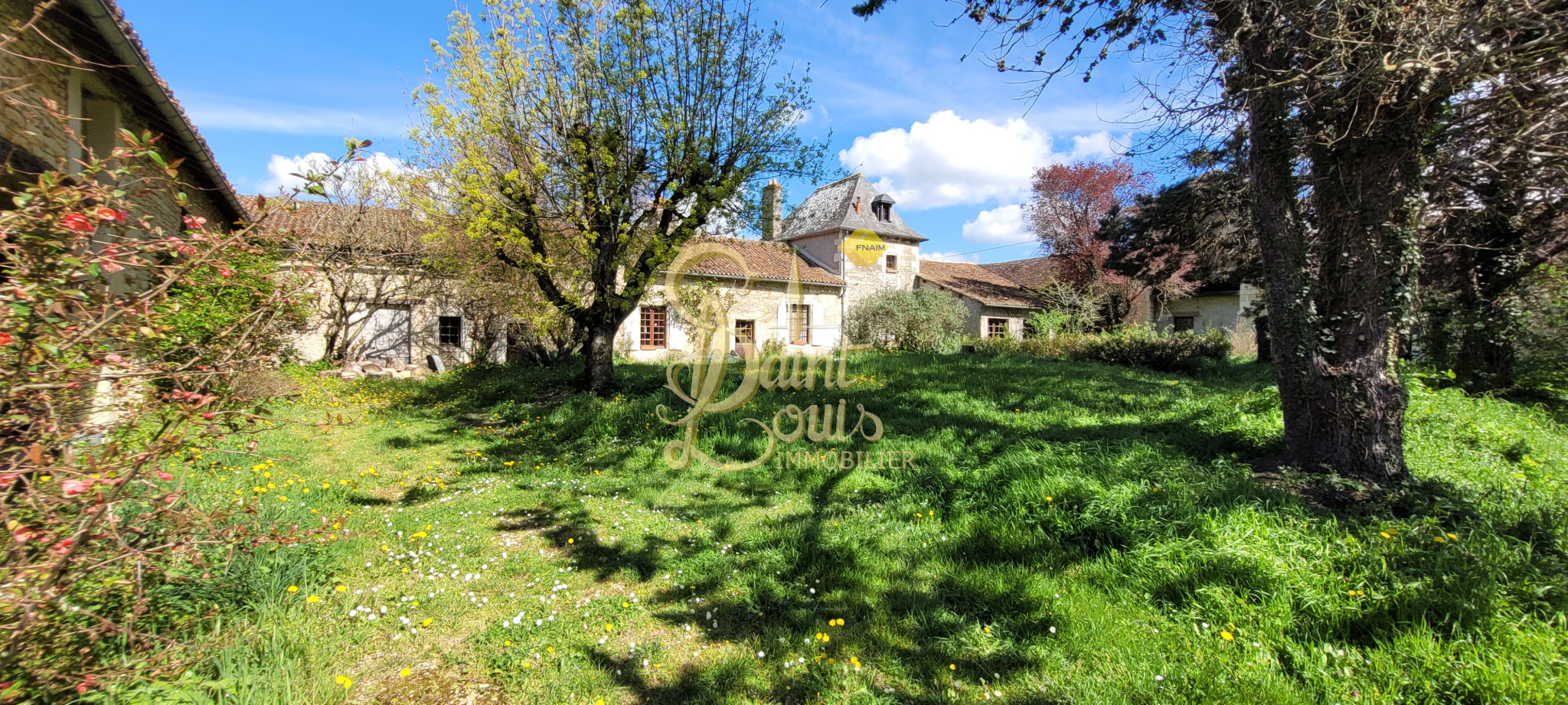 Agence immobilière de Saint Louis Immobilier