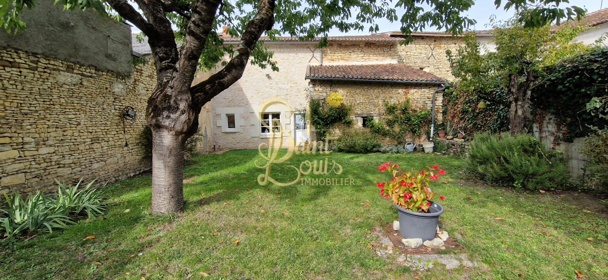 Agence immobilière de Saint Louis Immobilier