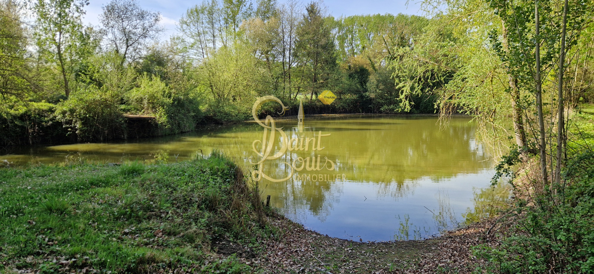 Agence immobilière de Saint Louis Immobilier