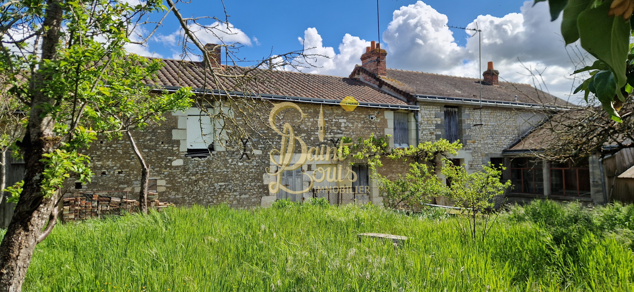 Agence immobilière de Saint Louis Immobilier